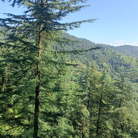 Peace Holiday Homestay Chail Εξωτερικό φωτογραφία