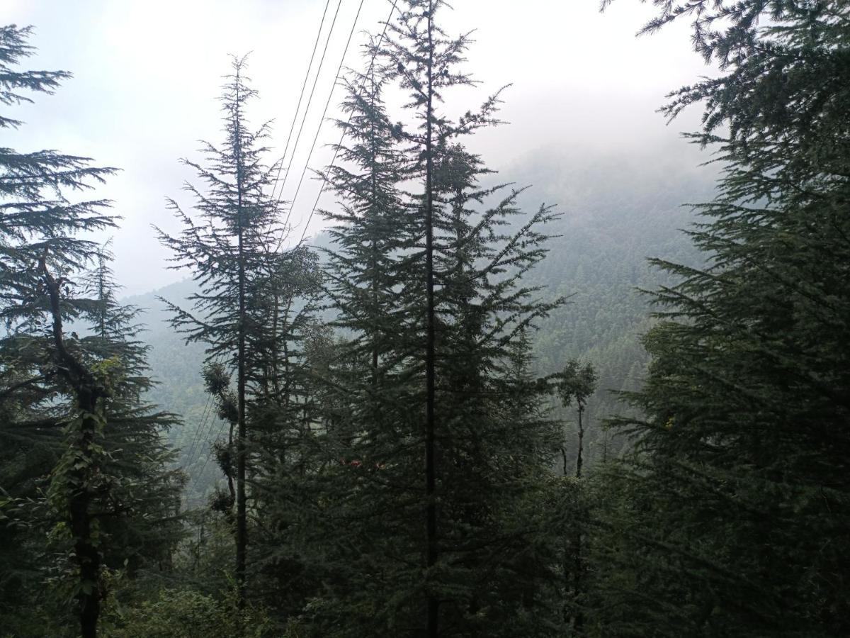 Peace Holiday Homestay Chail Εξωτερικό φωτογραφία