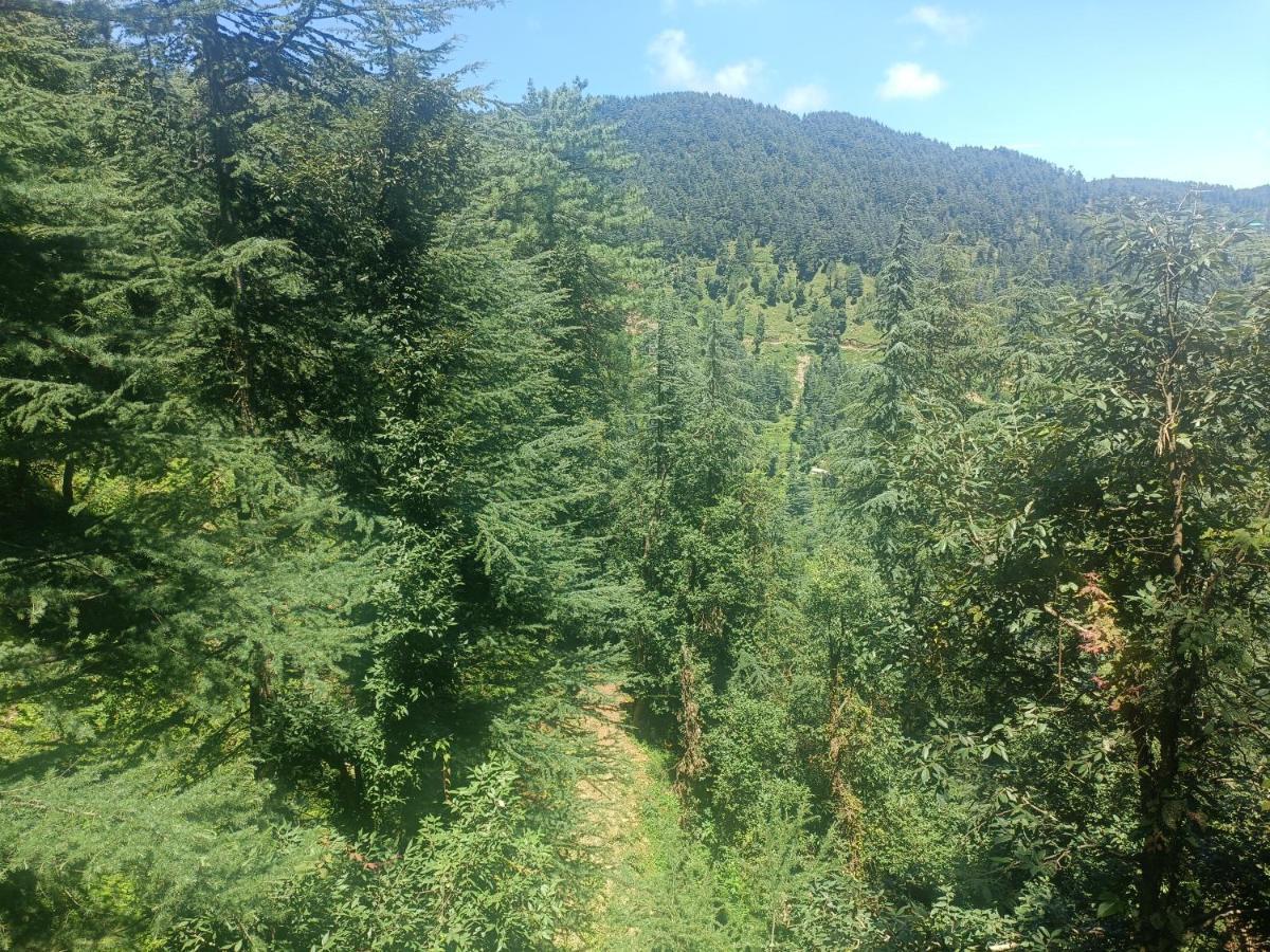 Peace Holiday Homestay Chail Εξωτερικό φωτογραφία