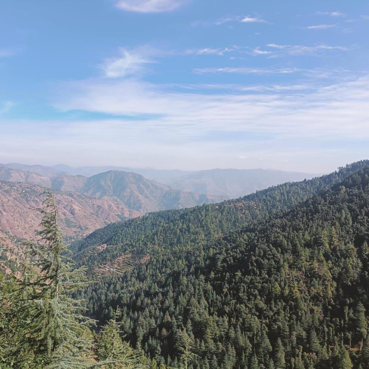 Peace Holiday Homestay Chail Εξωτερικό φωτογραφία