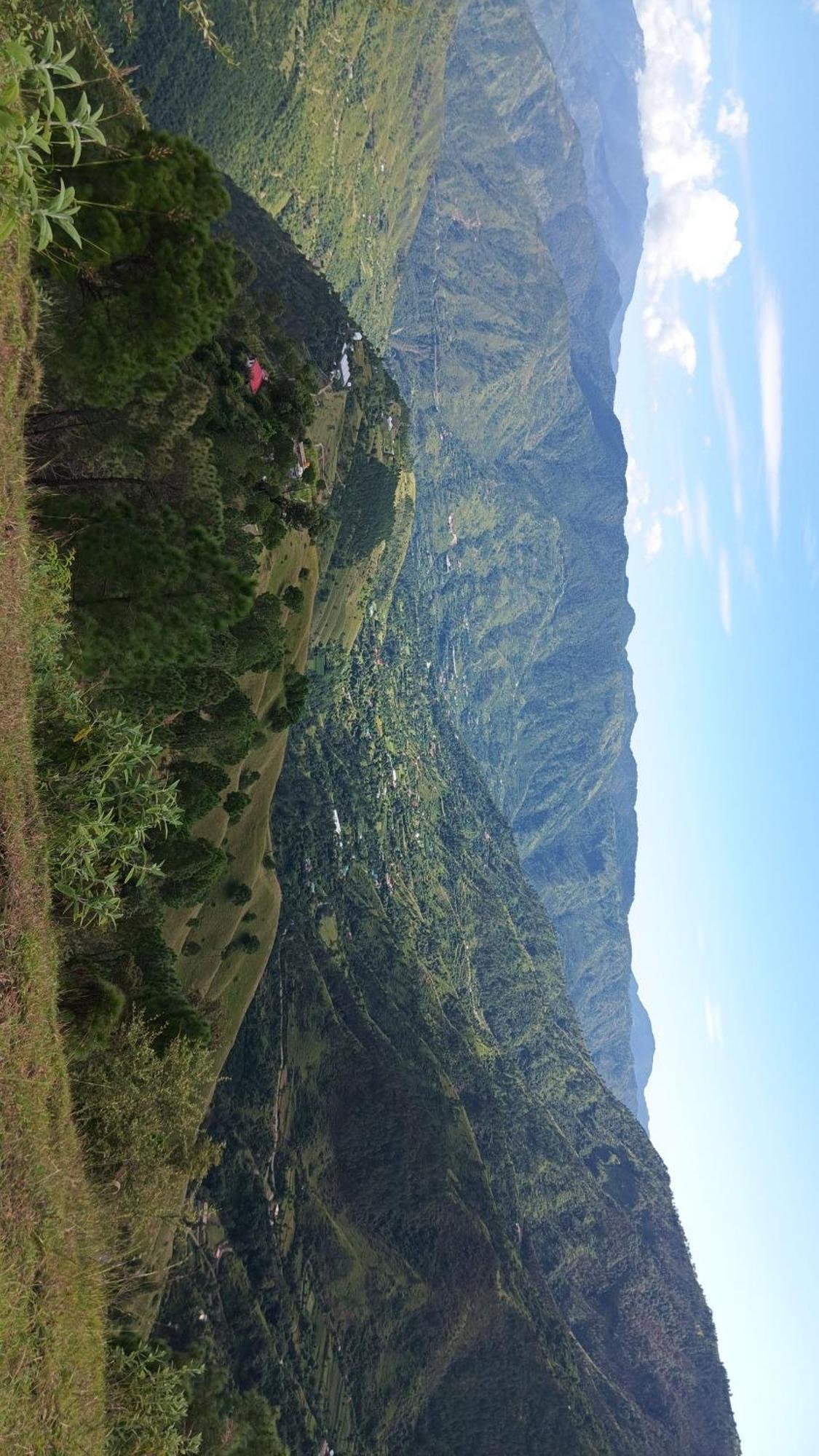 Peace Holiday Homestay Chail Εξωτερικό φωτογραφία