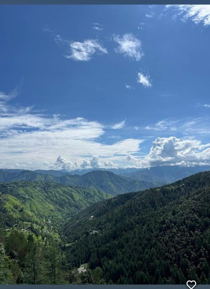 Peace Holiday Homestay Chail Εξωτερικό φωτογραφία